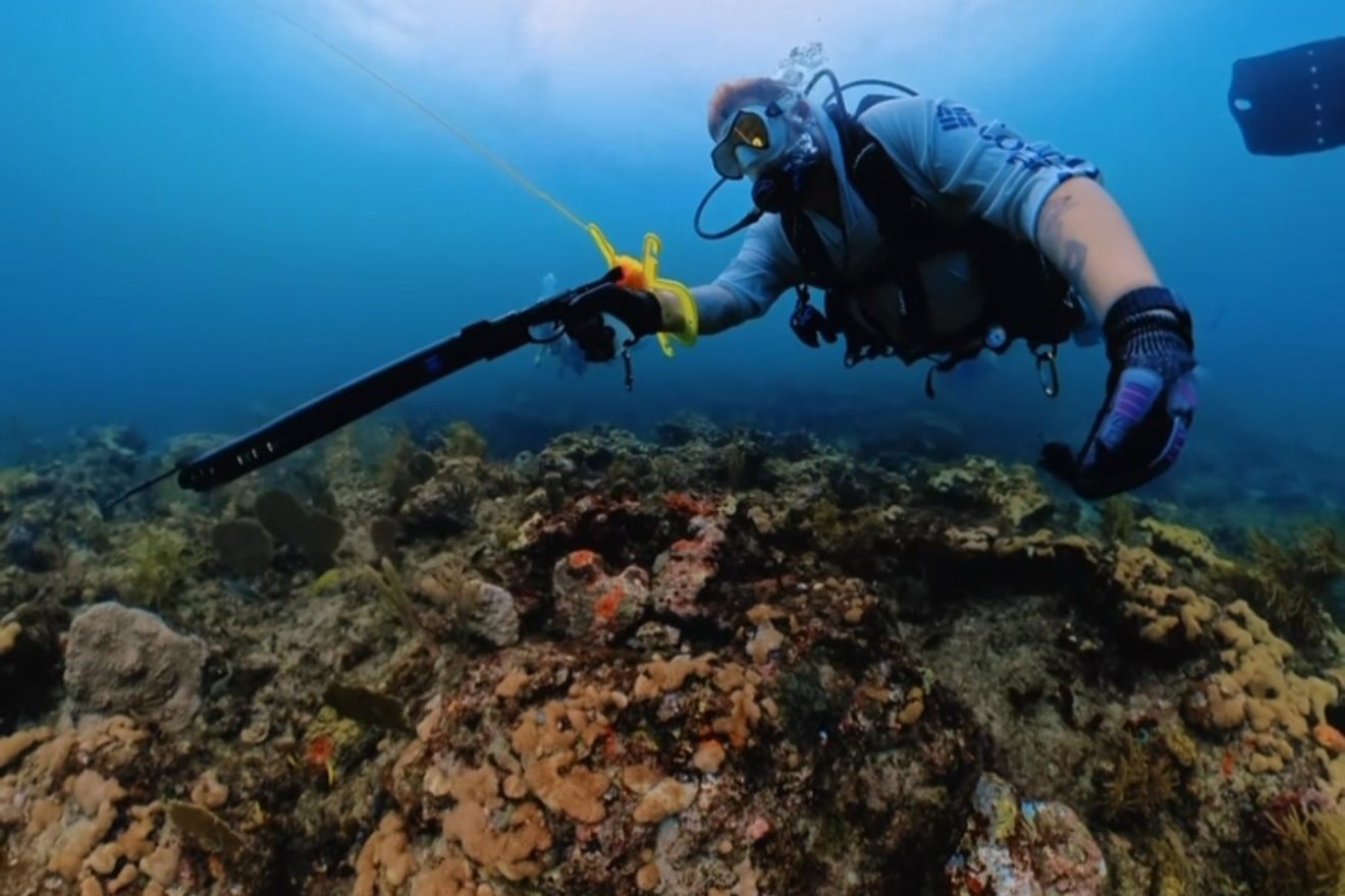 A diver gliding over the reef off Dania Beach